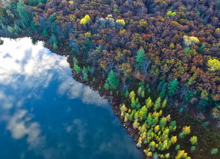 an aerial view of a lake in the middle of a forest