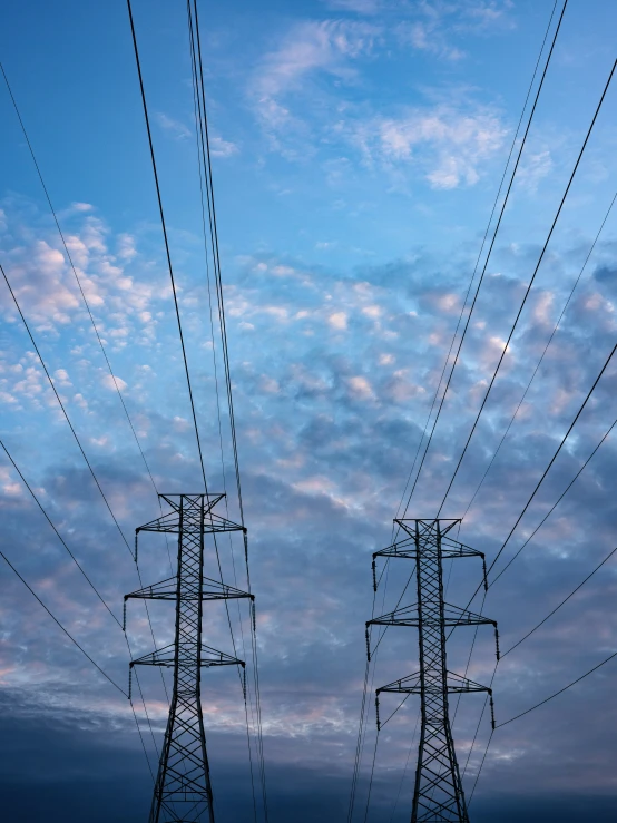 the power lines are above the trees with many wires