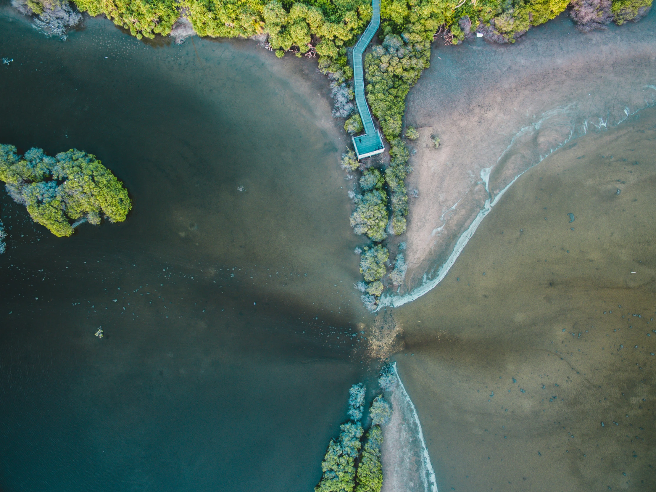 aerial po of water running through land and trees