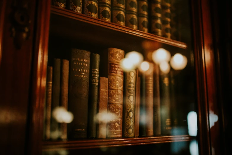 a shelf filled with old books on a dark wooden case