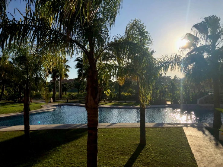 the sun is shining behind two palm trees next to the swimming pool