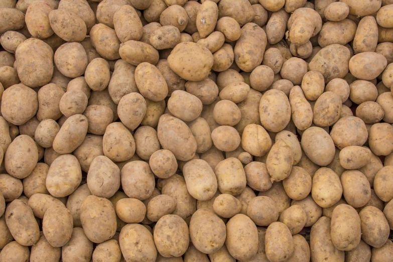 potatoes are stacked on display at a market