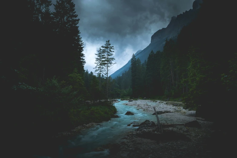 a dark picture with a few trees next to the river