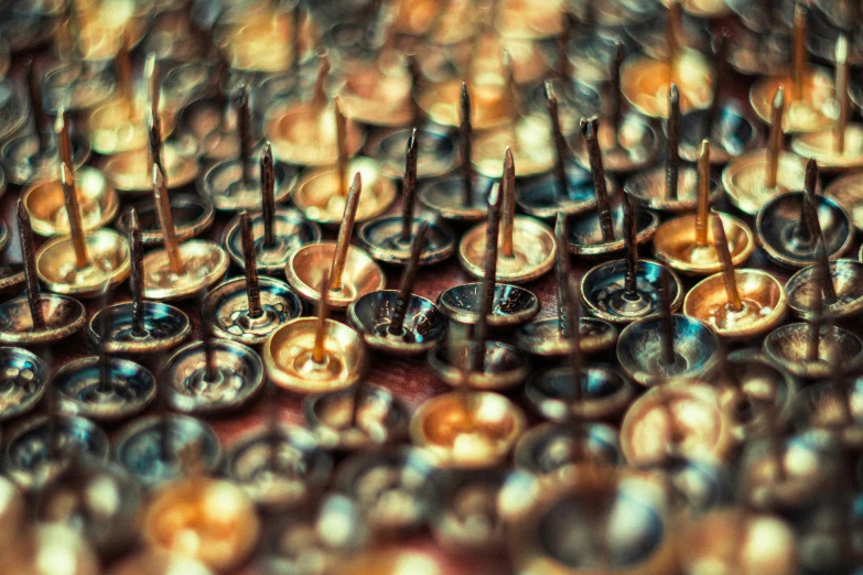 close up of a pile of brown ons with long needles sticking out