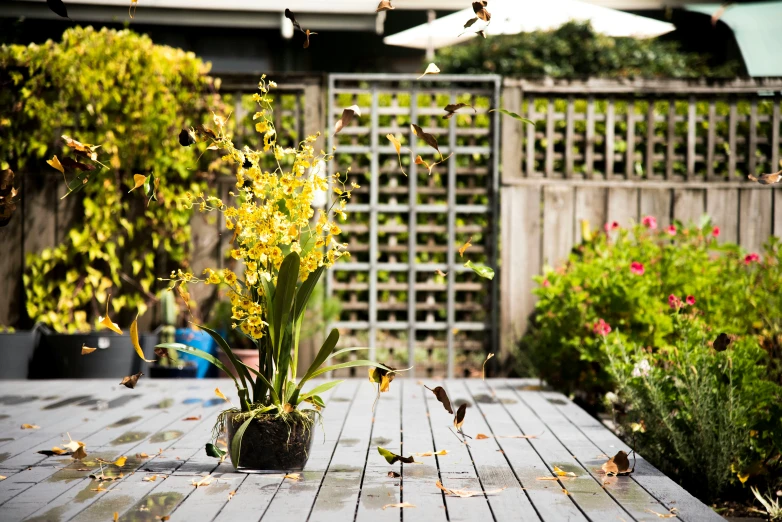 a wooden deck that has a table and yellow flowers on it