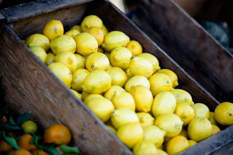 several crates of yellow and green lemons on display