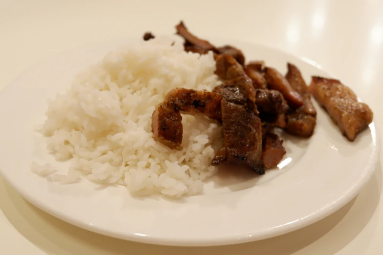 a plate with some rice and some meat on it