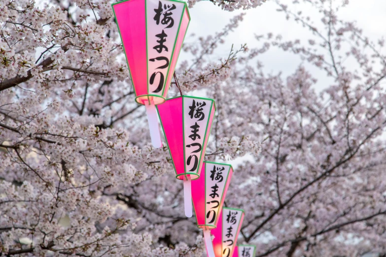 oriental writing is hanging from the nches of trees