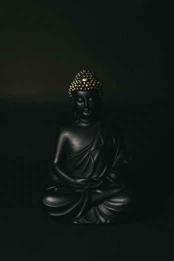 black buddha statue sitting in a dark room