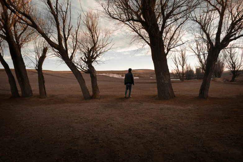 two people standing among trees in a barren area