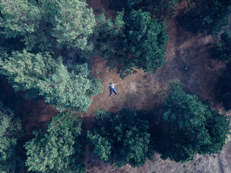 two men standing on a forest of trees