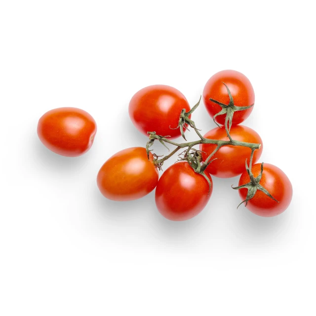 several red tomatoes on white background, with one stem still attached
