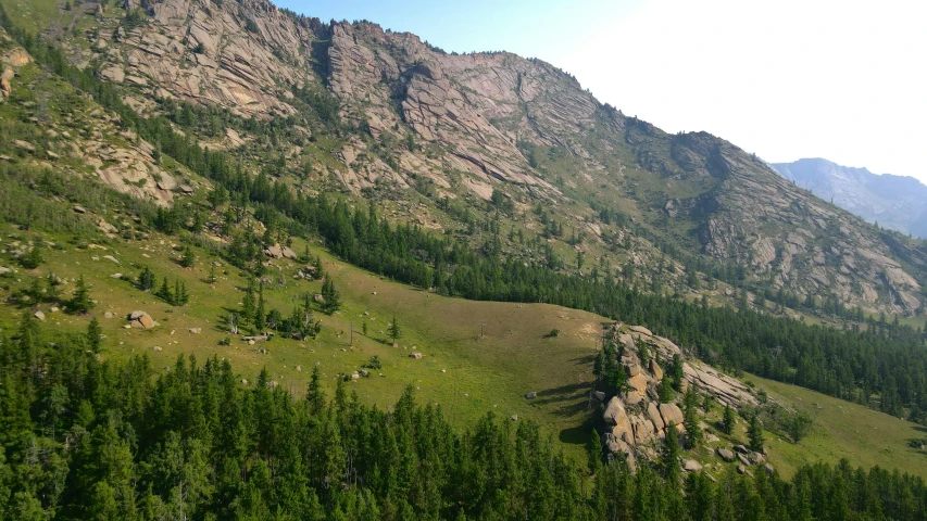 a grassy valley surrounded by mountains and trees