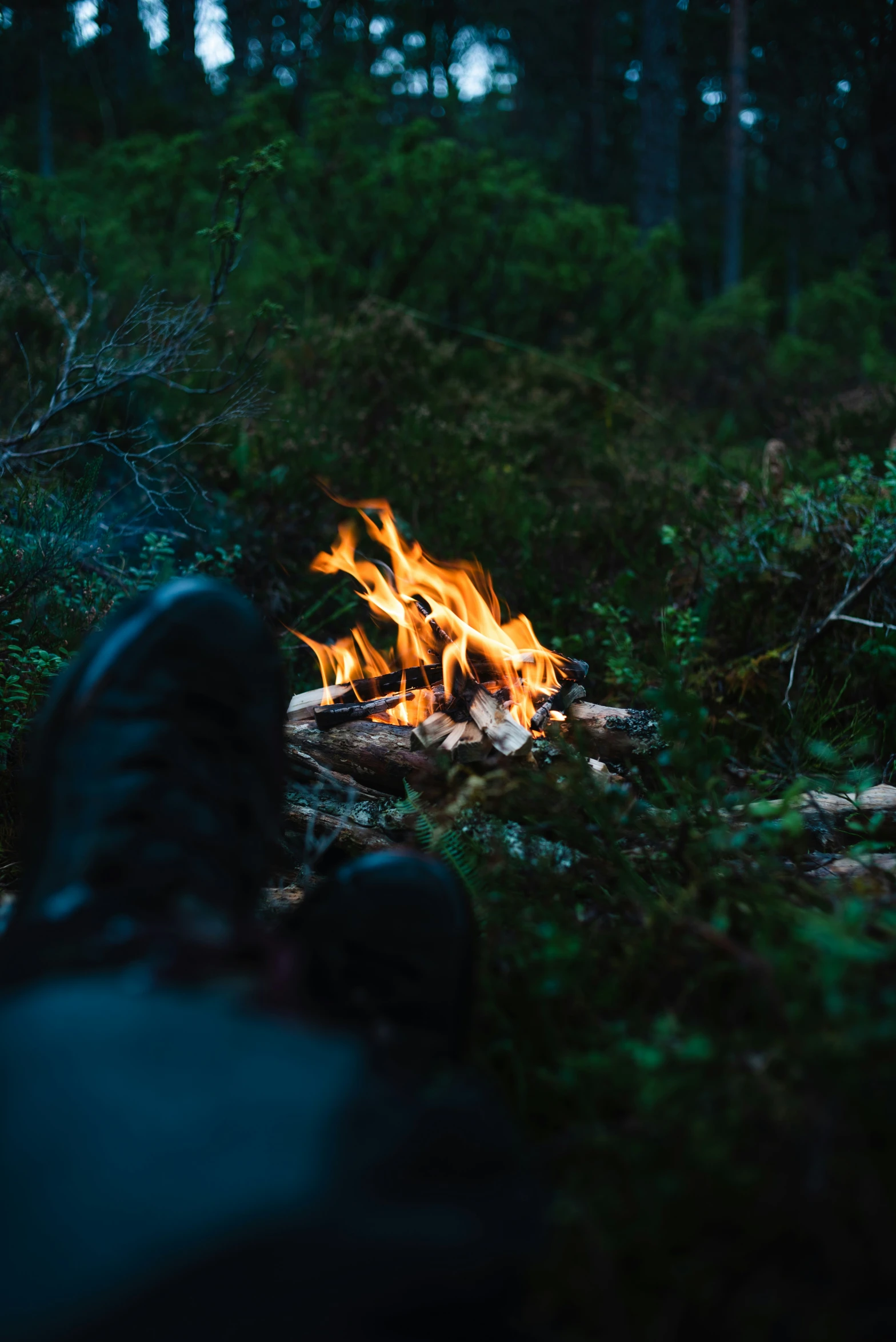 a person standing next to a fire in the forest