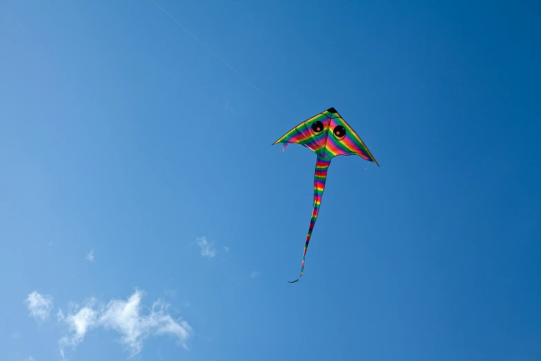 there is a kite that looks like a giant kite flying in the sky