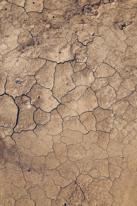 the dry ground in a desert is brown