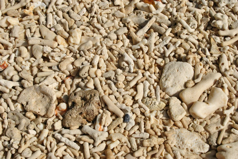 various rocks and gravel scattered together on the ground