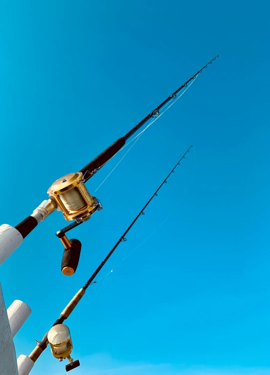 a fish is hooked up to some fishing poles