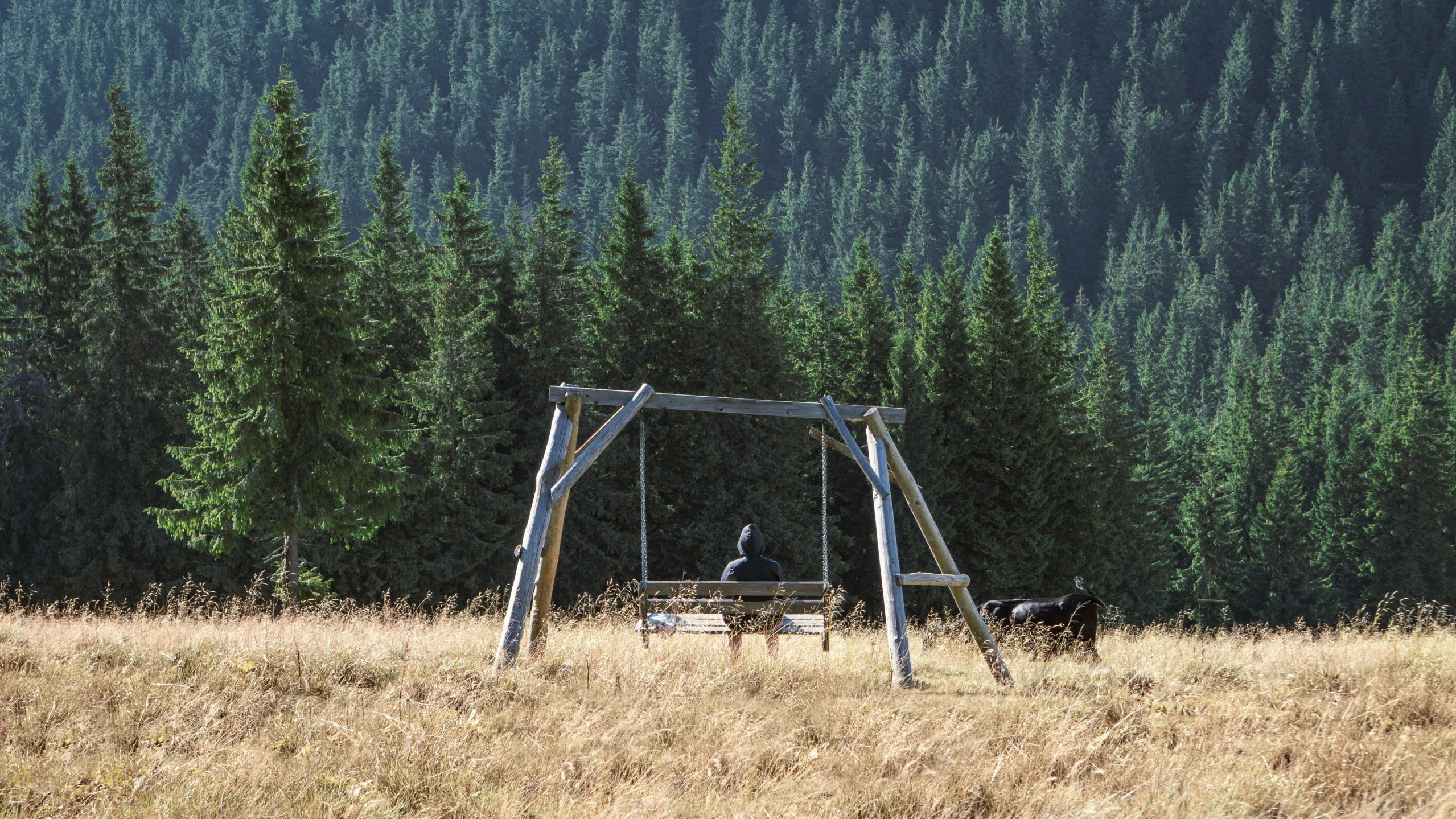 the two men are sitting on the swings in the field