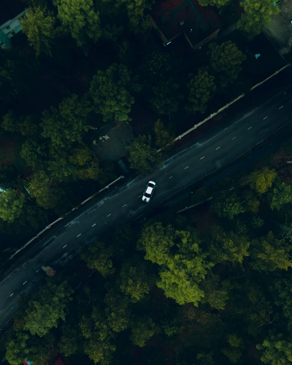 a road with traffic driving in the middle of trees