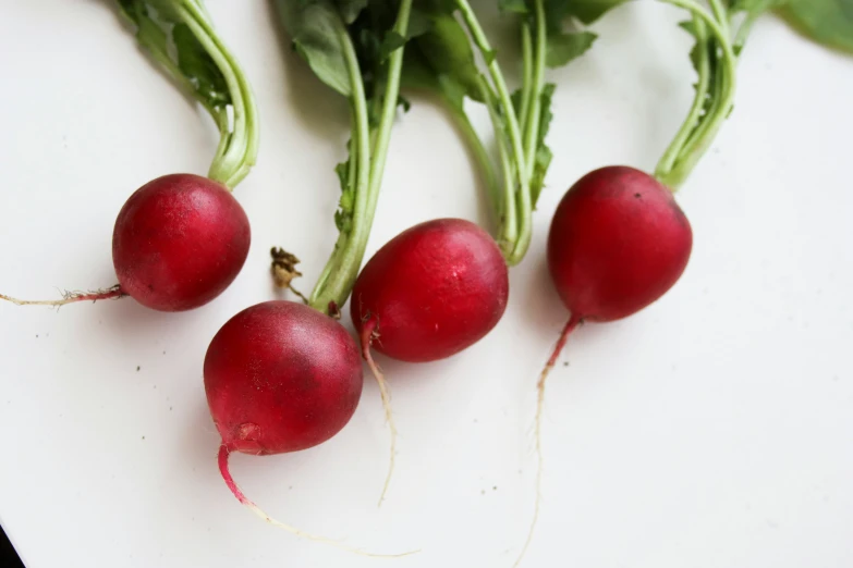 some very pretty radishes with long stems