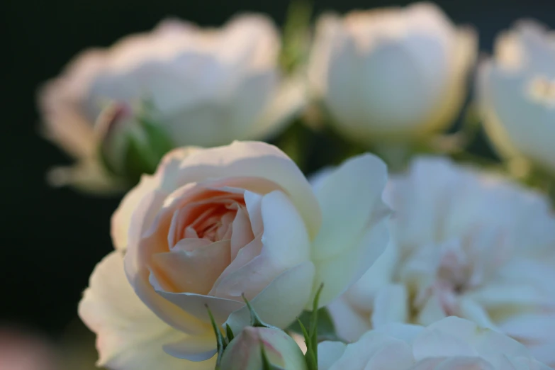 a close up of a bouquet of flowers