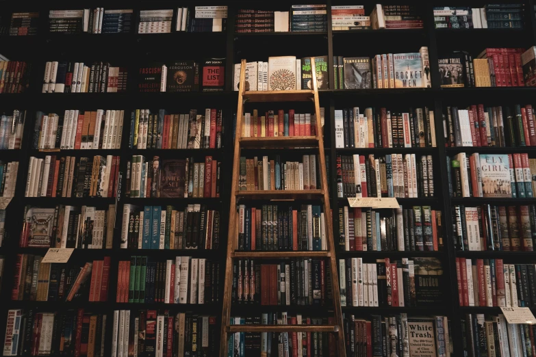 there is a ladder going up a book shelf filled with books