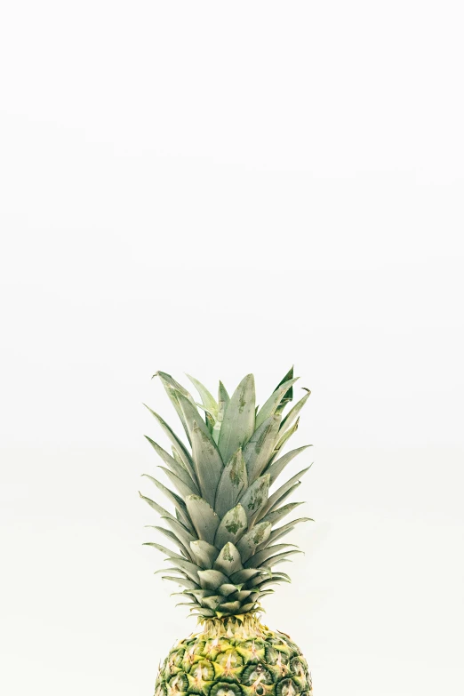 a large pineapple sitting in the middle of a glass