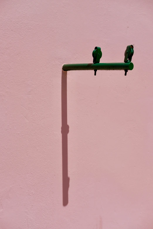 two birds are sitting on the pole and two lights are on