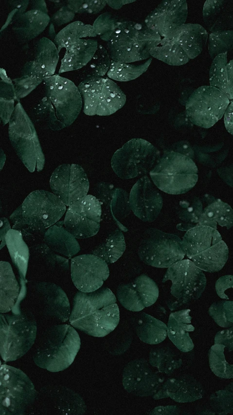 the image is dark green and looks like raindrops