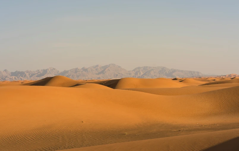 there are many dunes that are in the desert