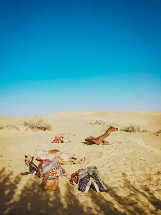 three people are sitting in the desert near a camel