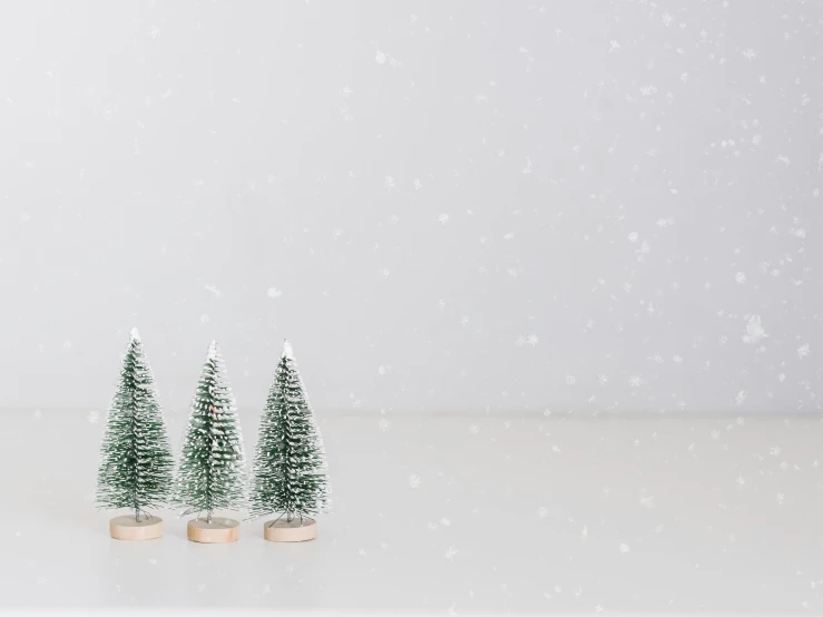 three mini trees are sitting in the snow