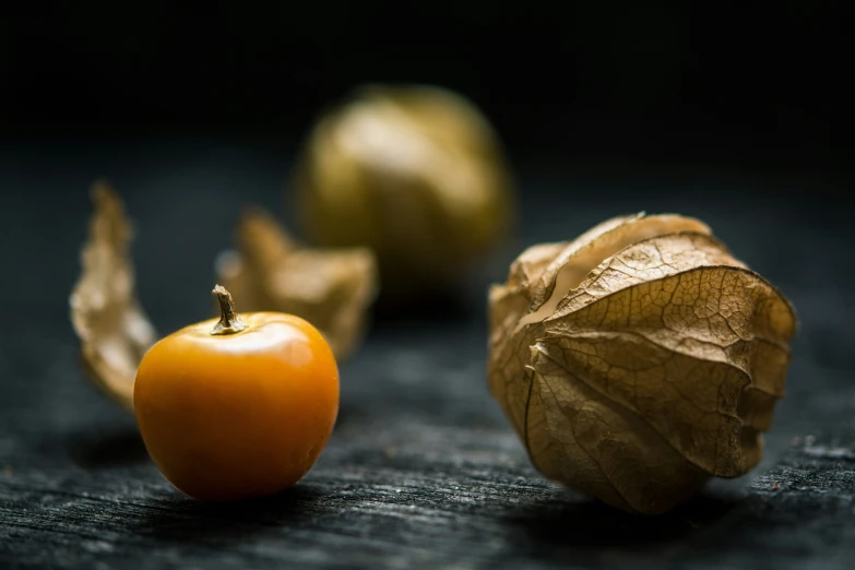 a couple of oranges and a leaf sitting on the ground