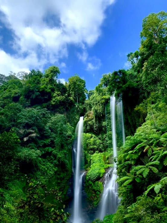 a waterfall in the middle of some vegetation