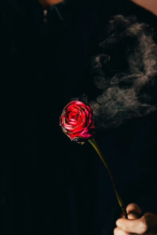 the man holding the rose has smoke coming from it