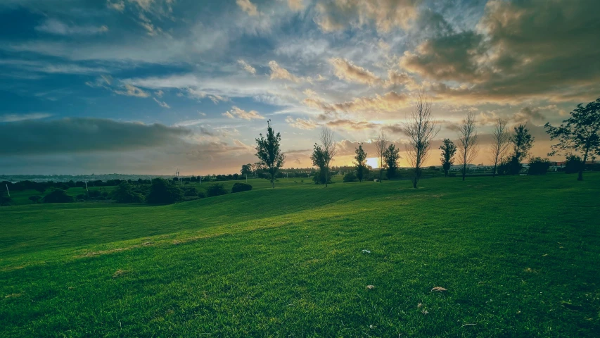 sunsets on the horizon above the grass field