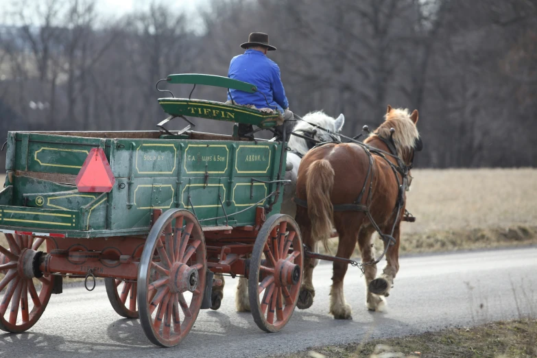 the man in a hat is driving the wagon that he rode with the horses