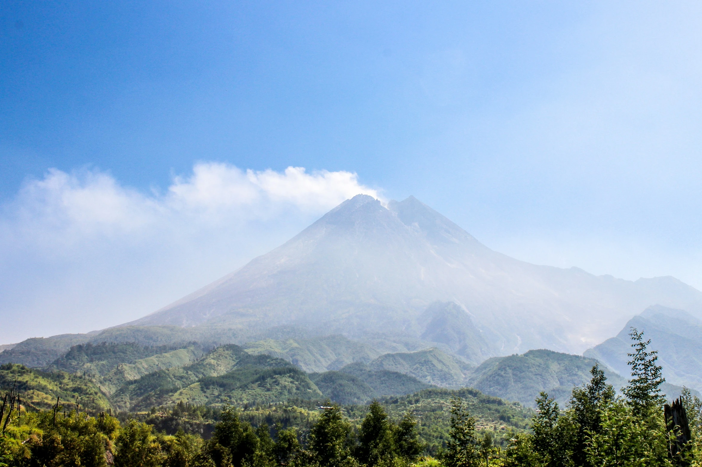 a mountain peak with a large amount of trees