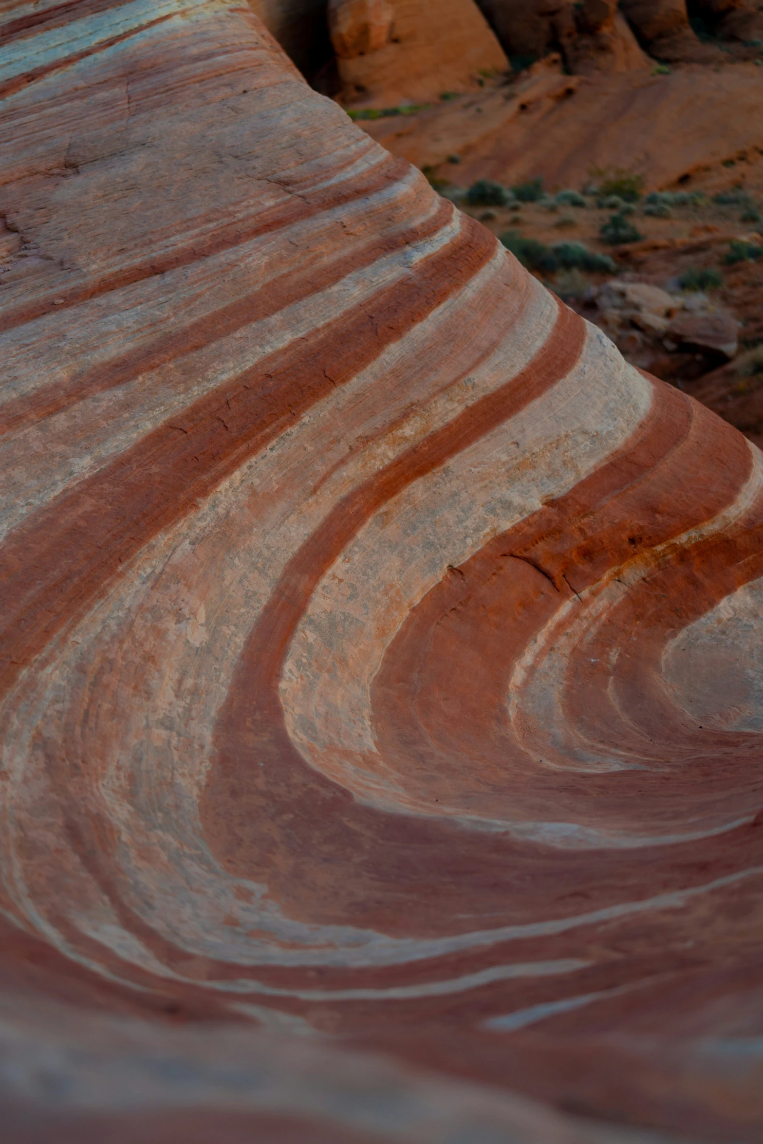 an abstractly designed rock is shown in the desert