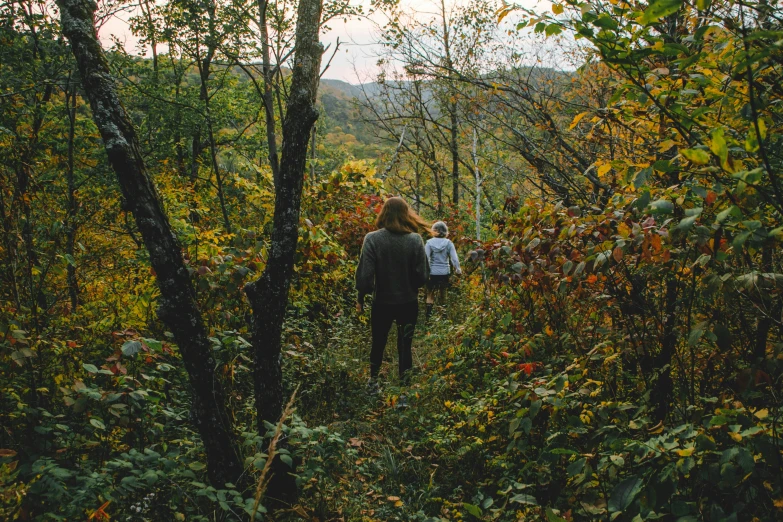 two people are walking in the woods with their backpacks