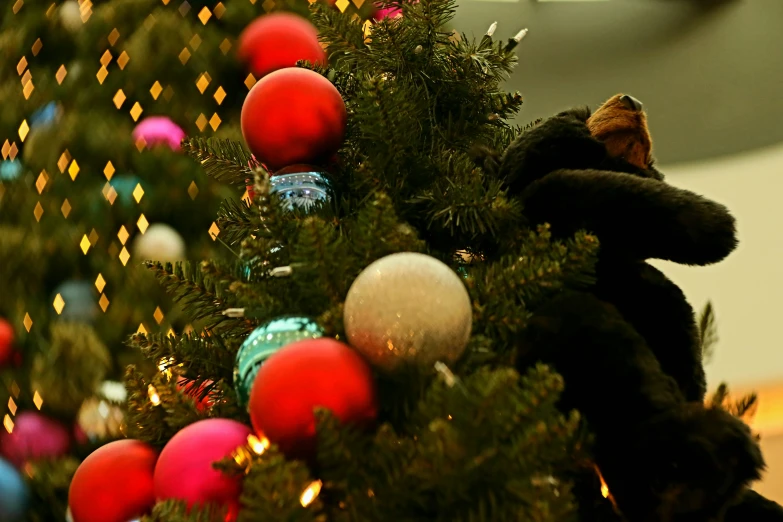 a large christmas tree with a dog standing on it