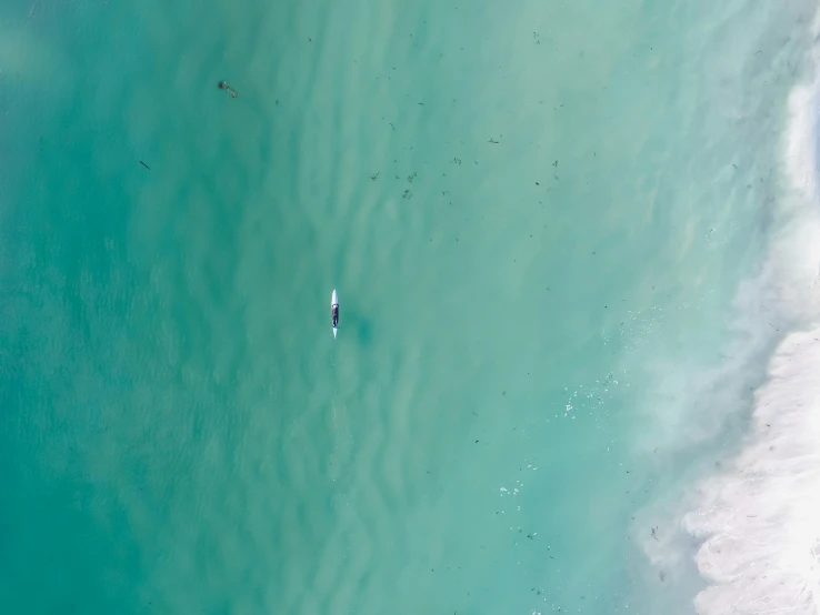 an aerial view of people swimming in the ocean