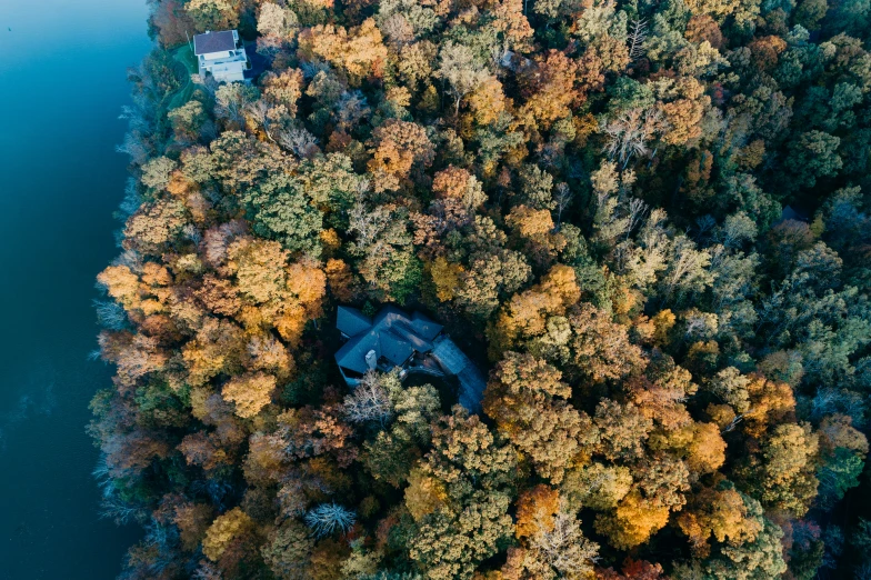 an aerial view of a home surrounded by trees