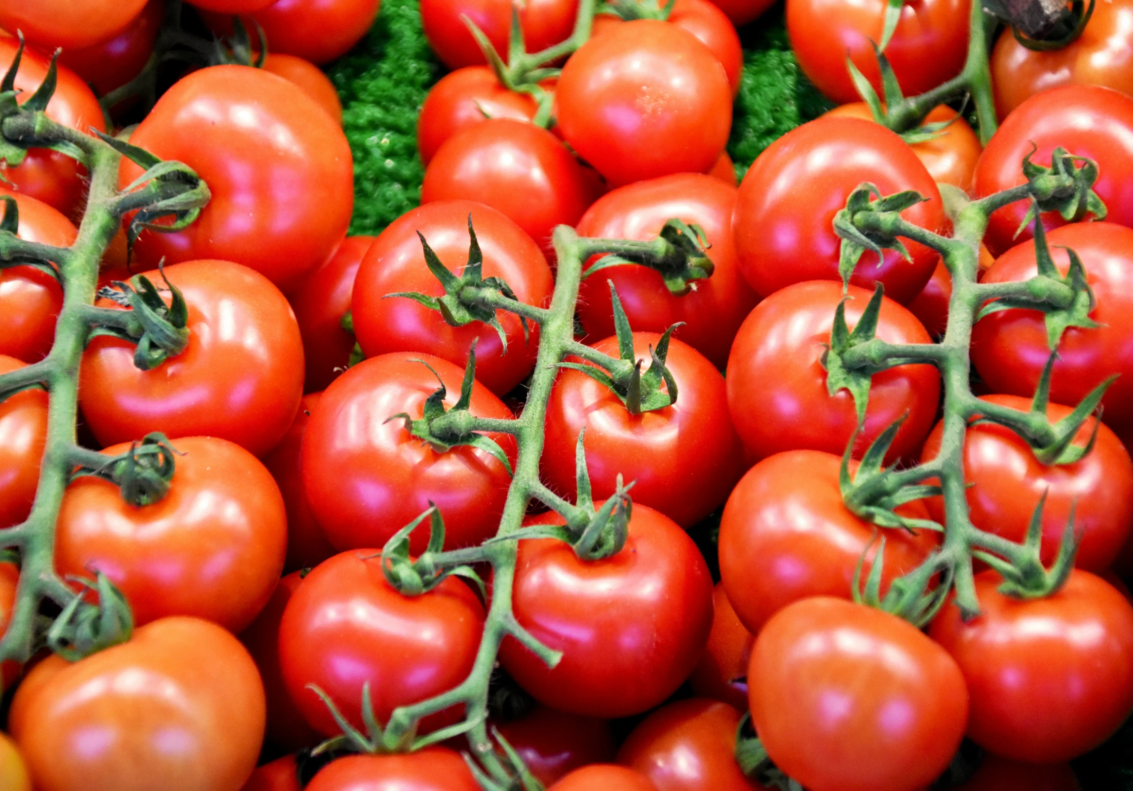 several large tomatoes are on display in the store