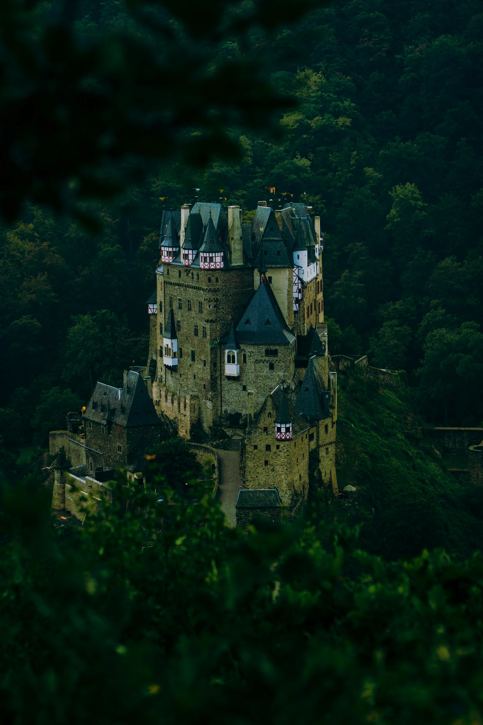 an old castle in the middle of a forest