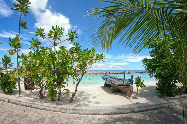 two small boats are parked on the beach