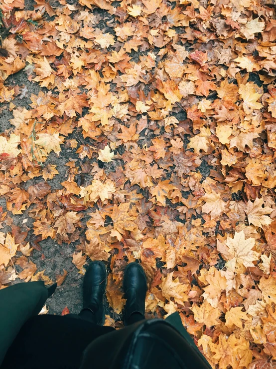 a person standing on a street next to a patch of leaf covered ground