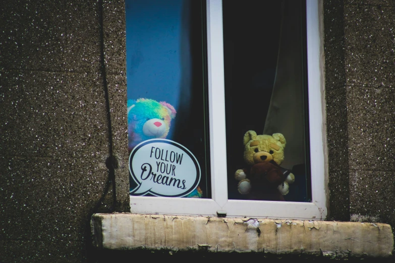 a teddy bear is seen from the window