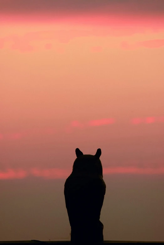 a silhouette of an animal against a pink and blue sky